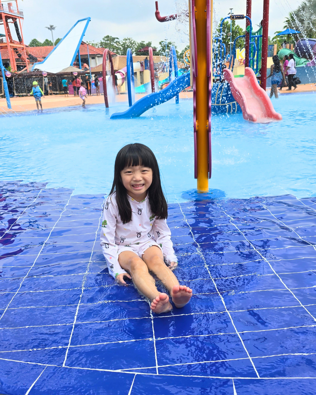 Koala 3pc Swimsuit Set